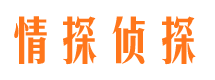 莲湖侦探公司